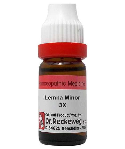 Dr. Reckeweg Lemna Minor Dilution - Grab2buy
