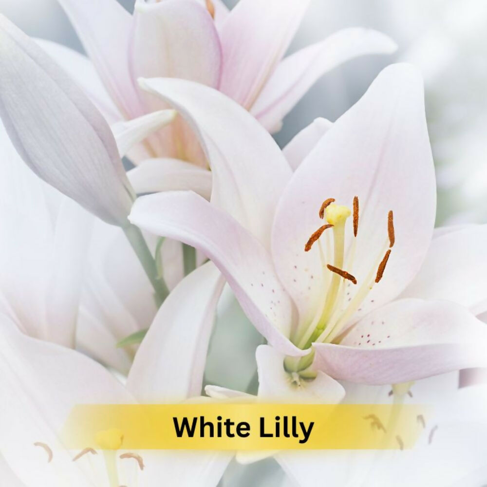 Prakriti Herbal Soap White Lily - Distacart