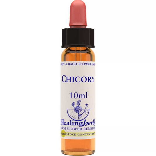 Healing Herbs Chicory