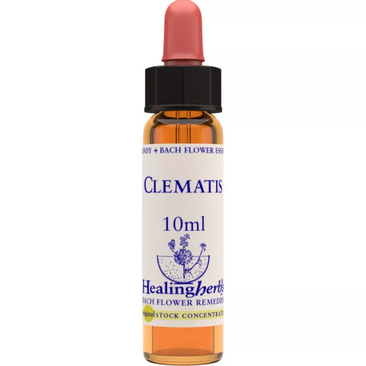 Healing Herbs Clematis
