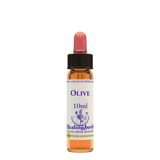 Healing Herbs Olive