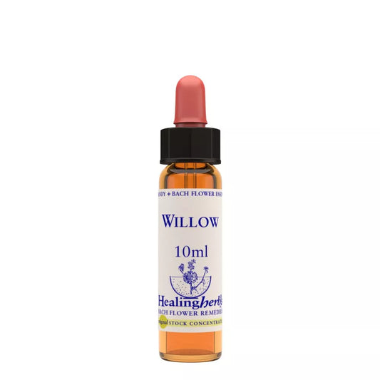 Healing Herbs Willow