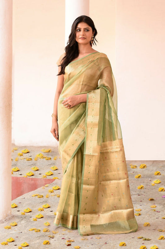 Joban Fashion Green Pure Banarasi Tissue Saree | Swadesiicart