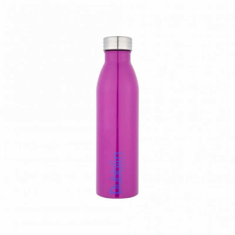 Dubblin Season Stainless Steel Fridge Water Bottle - Grab2buy