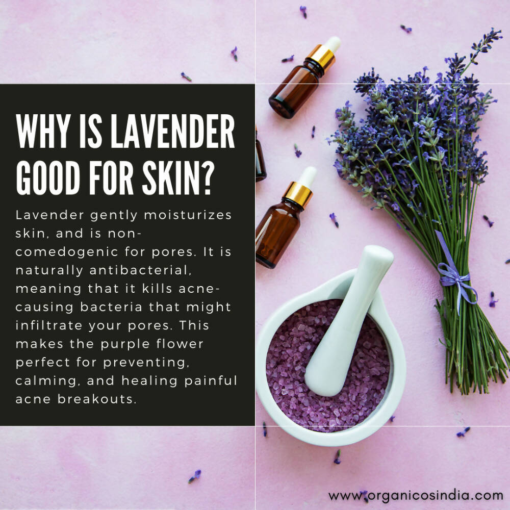 Organicos Lavender Face Cleanser - Grab2buy