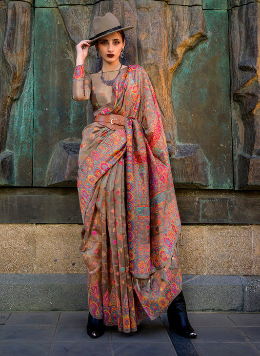 Monjolika Fashion Chikoo Color Kashmiri Organza Pashmina Silk Saree With Blouse