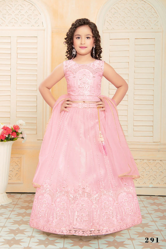 Kids Functional Designer Pink soft NetLehenga choli - Aaradhna