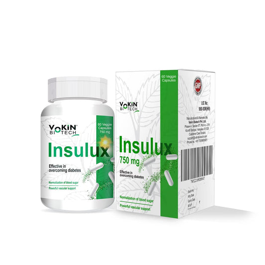 Vokin Biotech Herbal Insulux Gymnema Sylvestre for Diabetes Control 750mg (60 Capsules), 200 grams Grab2Buy Vokin Biotech Grab2Buy