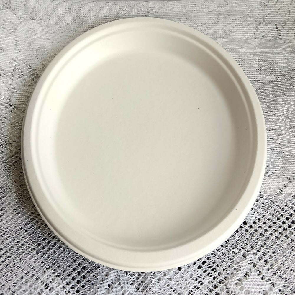 Disposable Round Plane Plates Big - Grab2buy