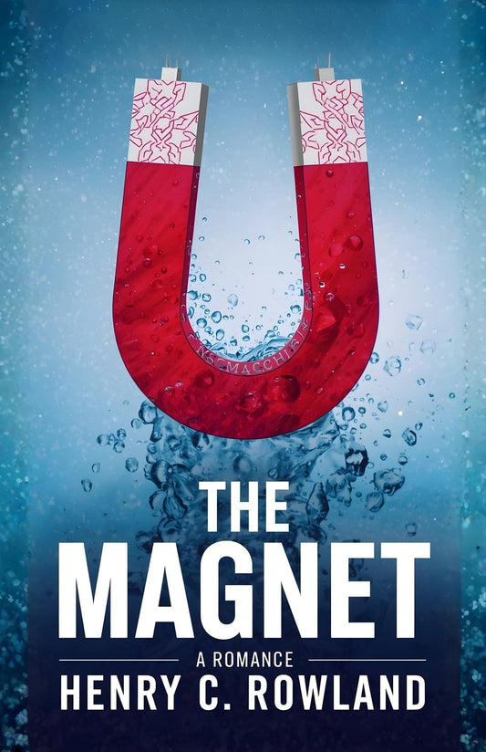 The Magnet A Romance : Passion, Intrigue, And Adventure In A Timeless Tale Grab2Buy DD Books Grab2Buy