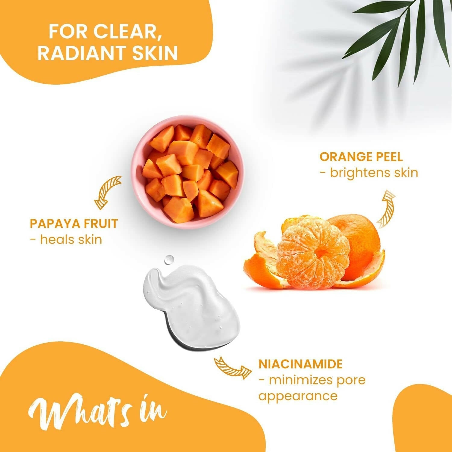 NutriGlow NATURAL'S Advanced Pro Formula Papaya for Skin Brightening & Tan Removal Face Wash - Grab2buy