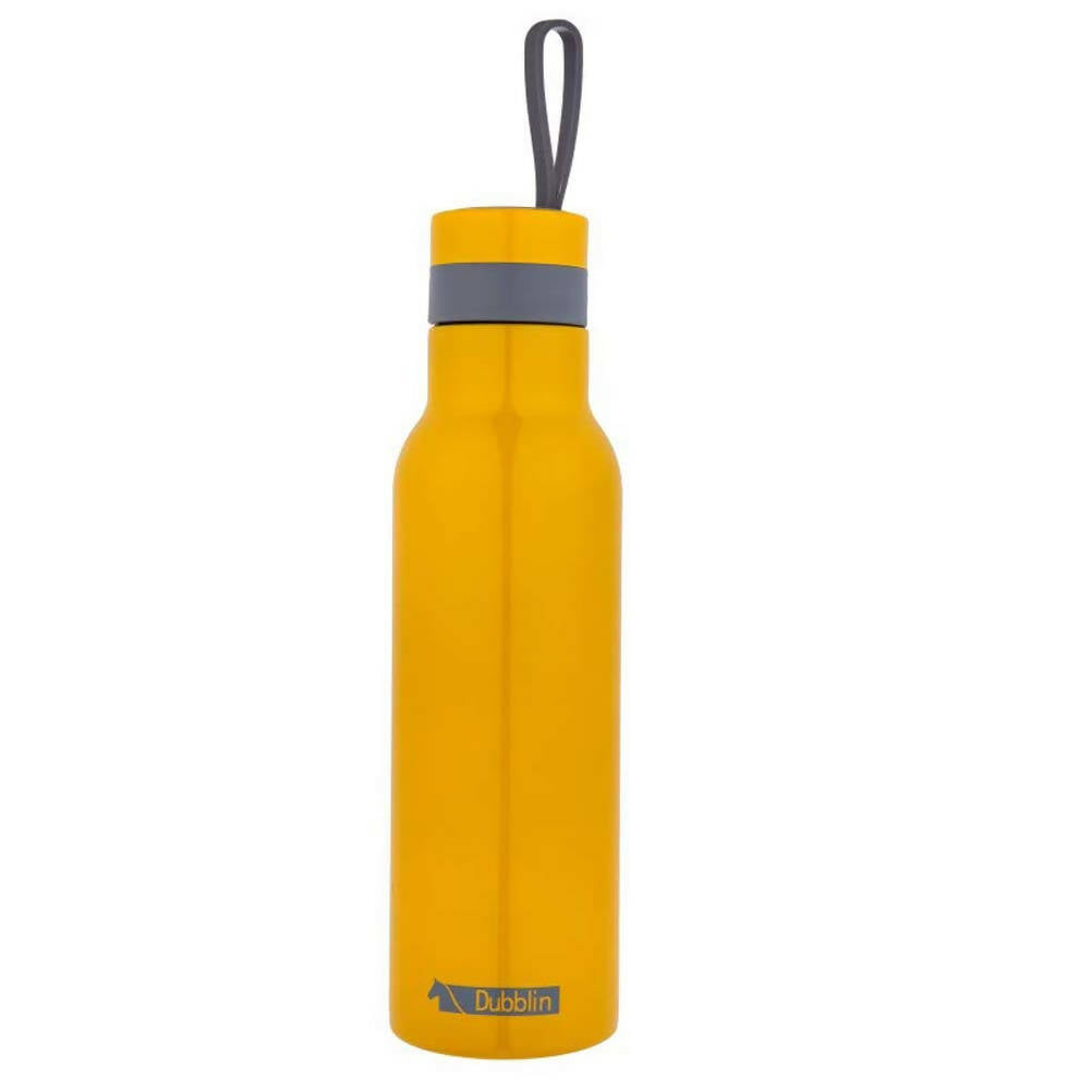 Dubblin Jewel Stainless Steel Sipper Water Bottle - Grab2buy