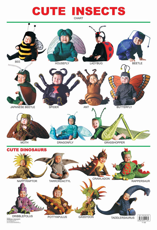 Dreamland Publications Cute Insects : Children Reference Educational Laminated Chart