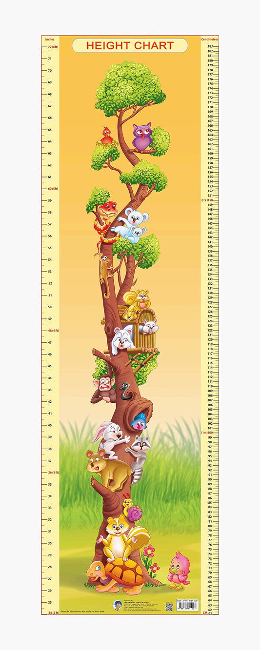 Dreamland Publications Educational Chart for Kids - Height Chart - 2