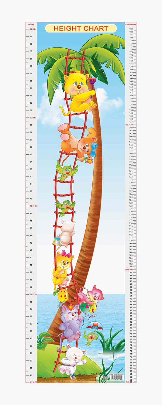 Dreamland Publications Educational Chart for Kids - Height Chart - 6