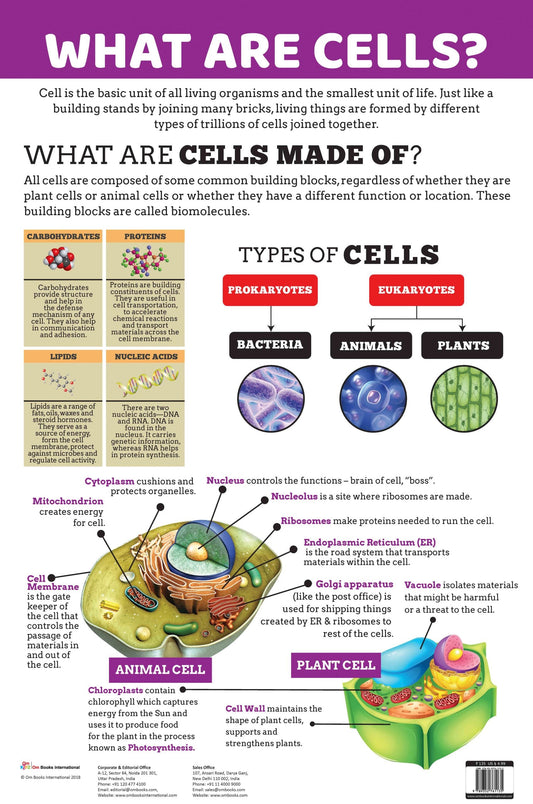 What are Cells : Charts - Om Books