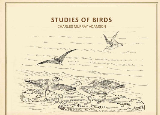 Studies of birds - Gyan Books