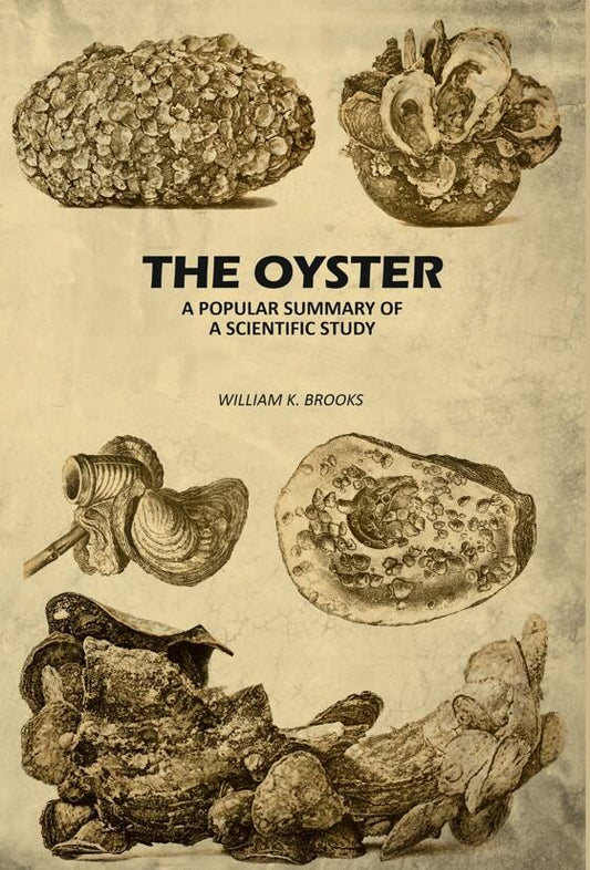 The Oyster: A Popular Summary of A Scientific Study - Gyan Books Grab2Buy Gyan Books Grab2Buy