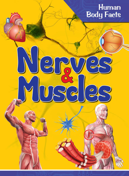 Nerves & Muscles : Human Body Facts - Om Books