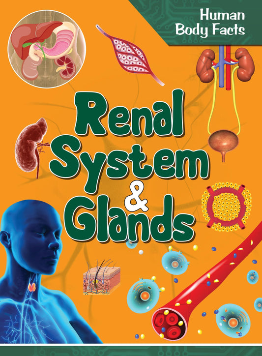 Renal System & Glands : Human Body Facts - Om Books
