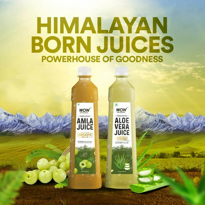 Wow Life Science Himalayan Aloe Vera Juice - Distacart