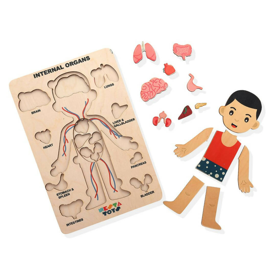 Nesta Toys Human Body | Internal Organs Wooden Puzzle - Grab2buy