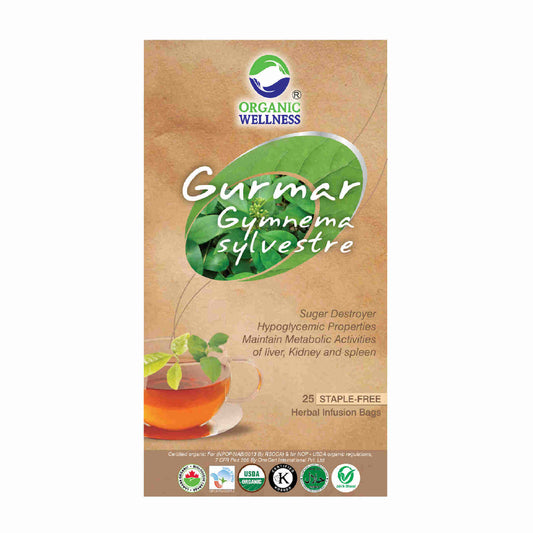Organic Wellness Ow'Real Gurmaar Gymnema Sylvestre Teabags - Grab2buy