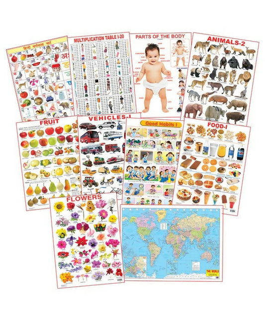 Dreamland Educational Charts - Combo 5 (10 Charts) : Children Early Learning Laminated Chart