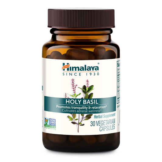 Holy Basil