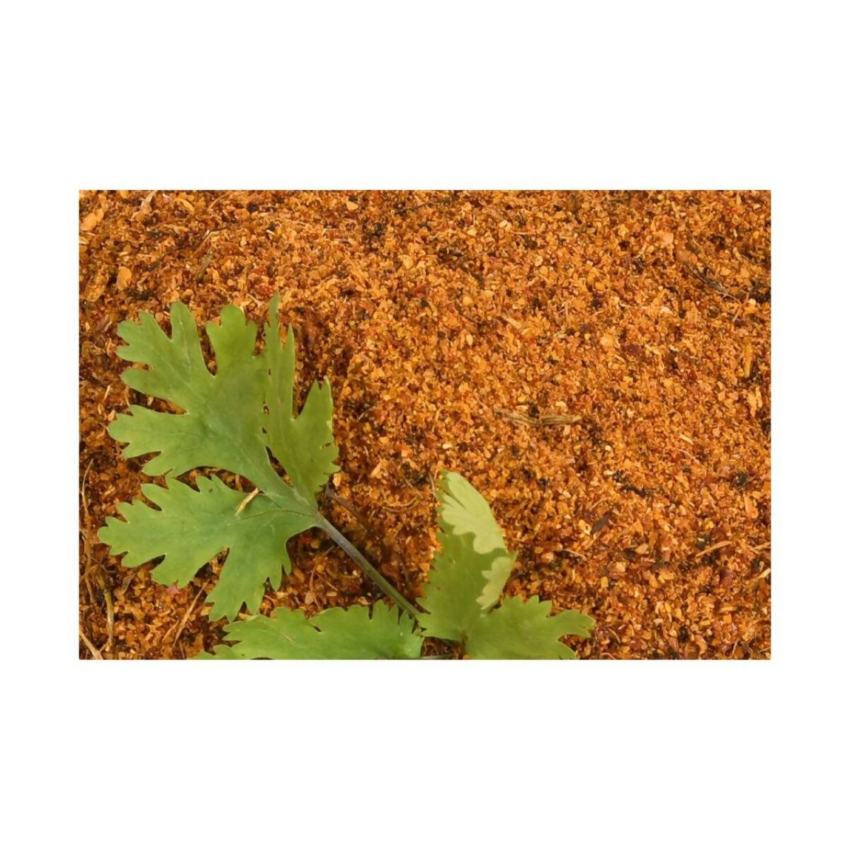 Amoga's Pickles Factory Coriander Leaves Curry Powder Andhra Style - Grab2buy