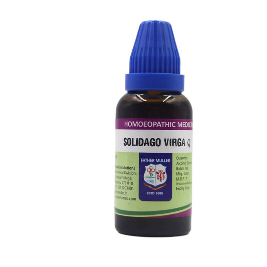 Father Muller Solidago Virgaurea Mother Tincture Q - Grab2buy