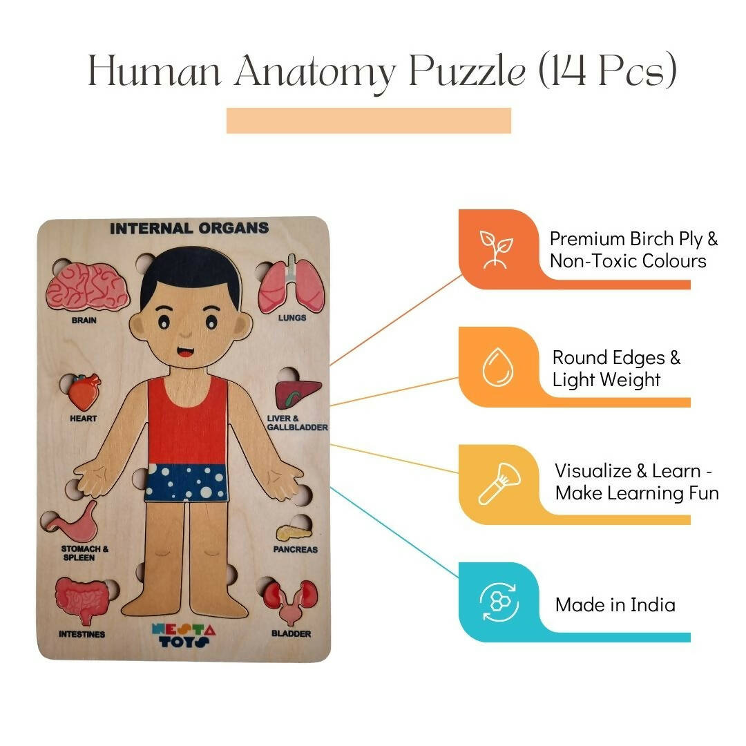 Nesta Toys Human Body | Internal Organs Wooden Puzzle - Grab2buy