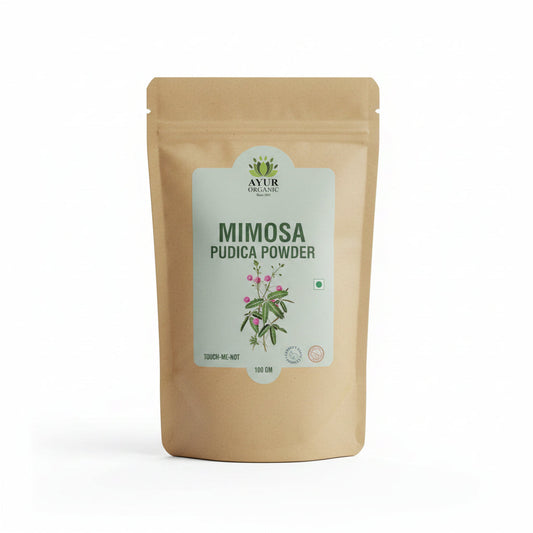Mimosa pudica powder