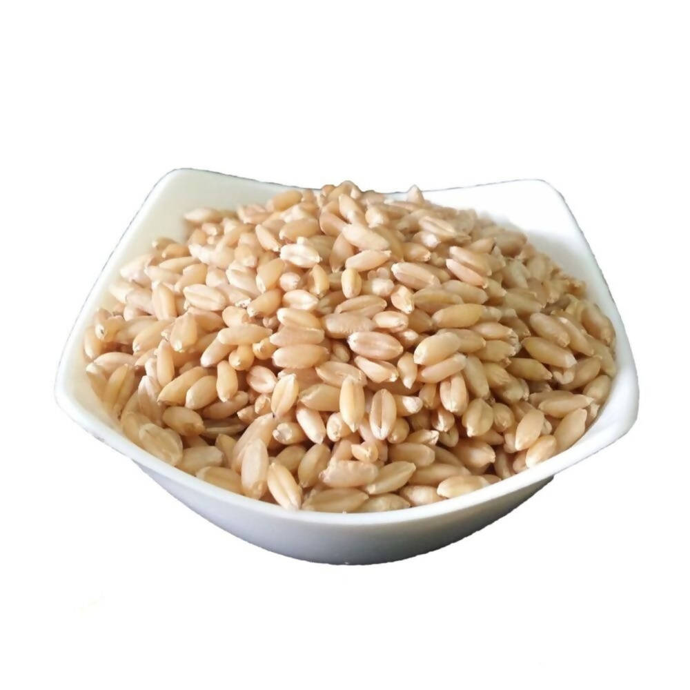 Freshon Whole Wheat Atta Standard - Grab2buy