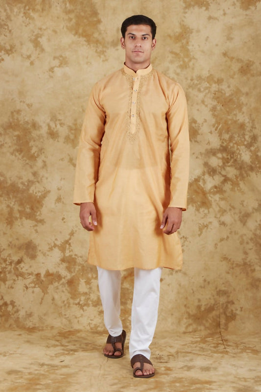 Bluesaanchi Men's Chandery Silk Khaki Embroidered Kurta Set | Swadesiicart