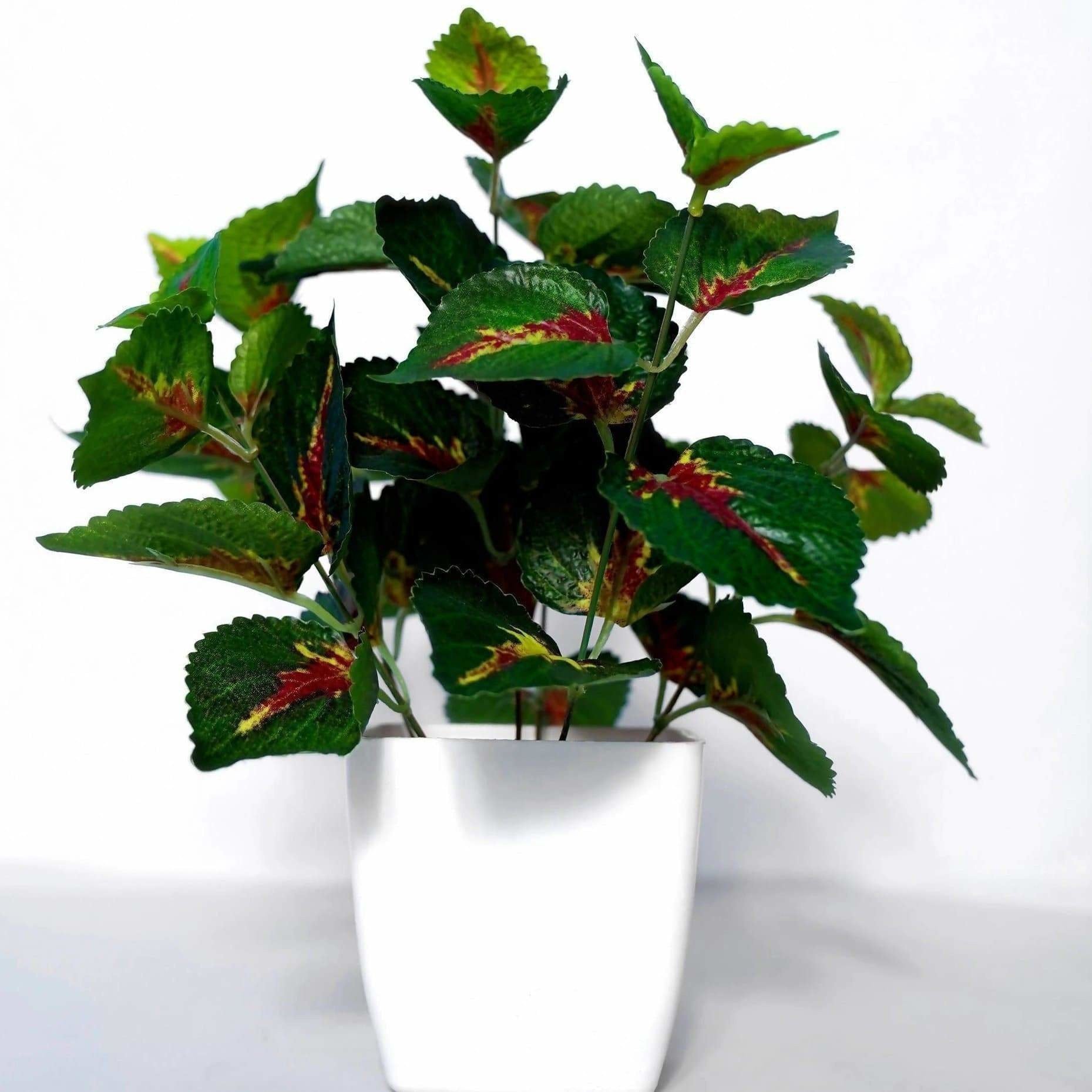 Chahat Decorative Artificial plant For Home