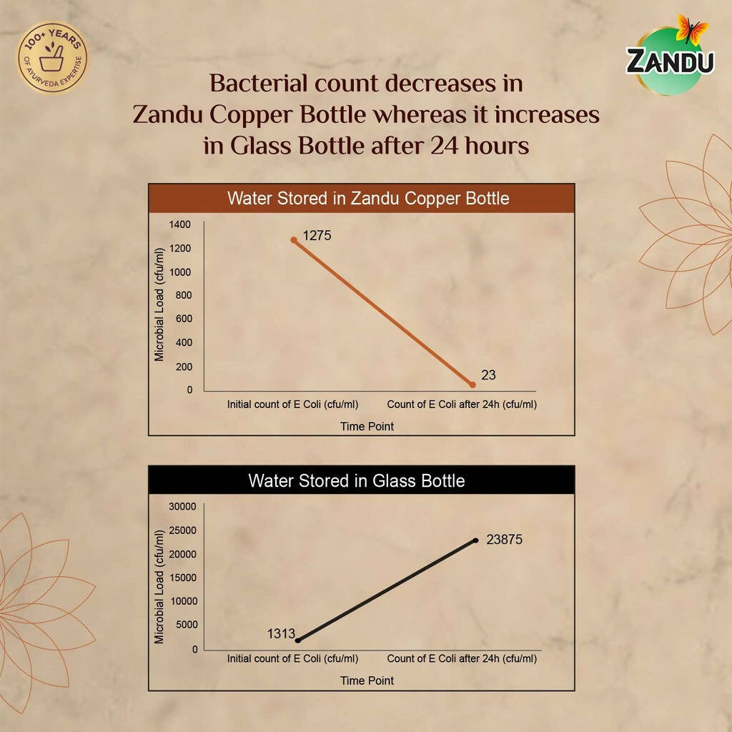 Zandu Copper Water Bottle - Grab2buy