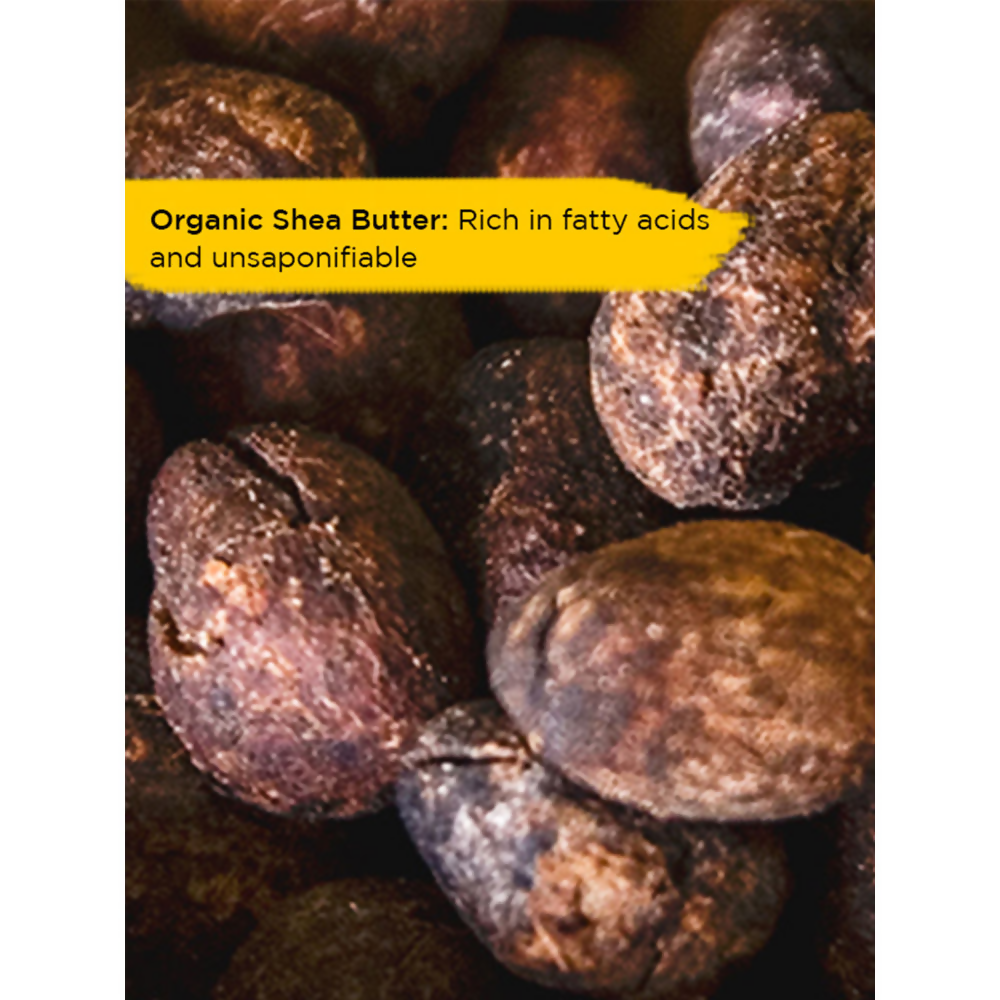 download - 2024-09-23T155929.170