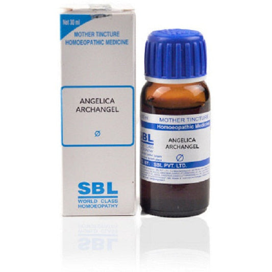 SBL Angelica Archangelica Mother Tincture 1X (Q) (30ml) for skin disorders heartburn acidity anxiety