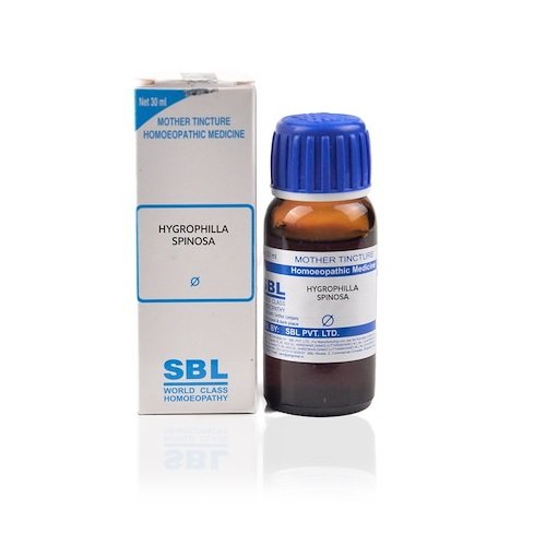 SBL Hygrophila Spinosa Mother Tincture (Q) 30ml for Indigestion Acidity Gas Fever
