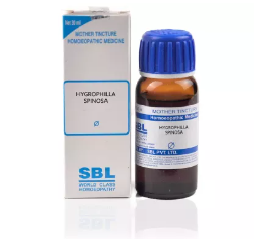 SBL Hygrophila Spinosa Mother Tincture Q for Indigestion Acidity Gas