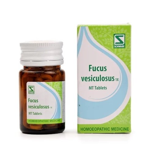 Dr Willmar Schwabe India Homoeopathic Fucus Vesiculosus 1X MT Tablets (20gm) for Indigestion Acidity Gas Thyroid