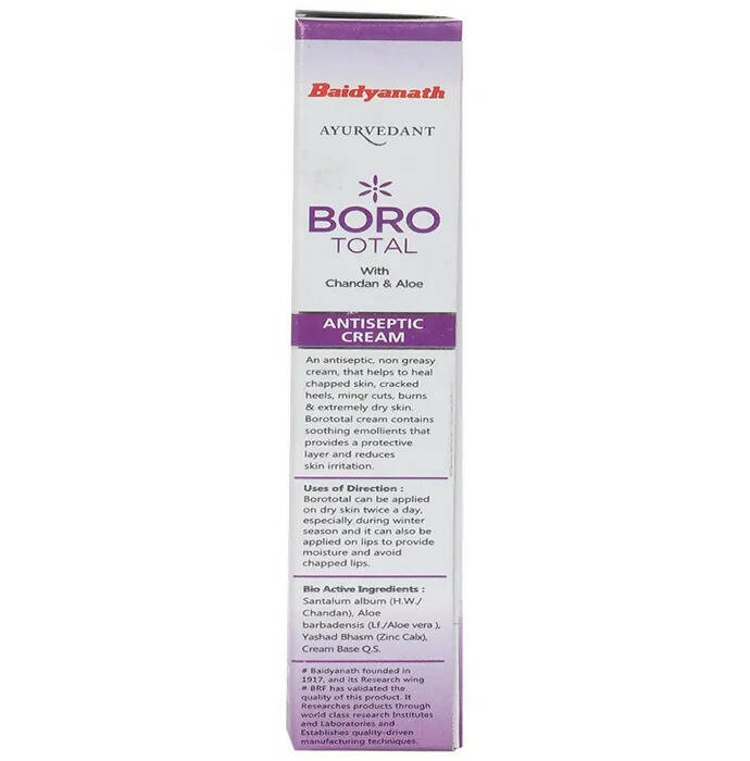 Baidyanath Jhansi Ayurvedant Boro Total Antiseptic Cream - Grab2buy