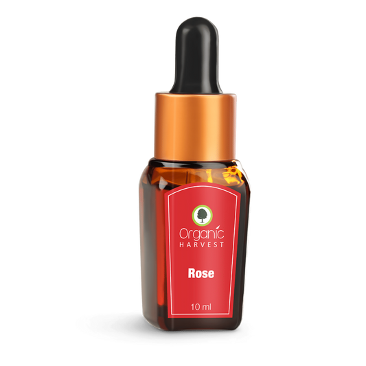 Organic Harvest Rose Essential Oil