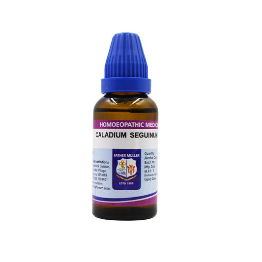 Father Muller Caladium Seguinum Dilution - Grab2buy