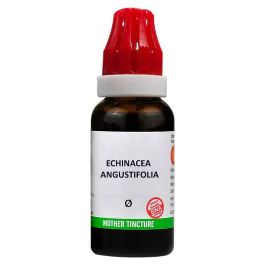 Bjain Homeopathy Echinacea Angustifolia Mother Tincture Q - Grab2buy