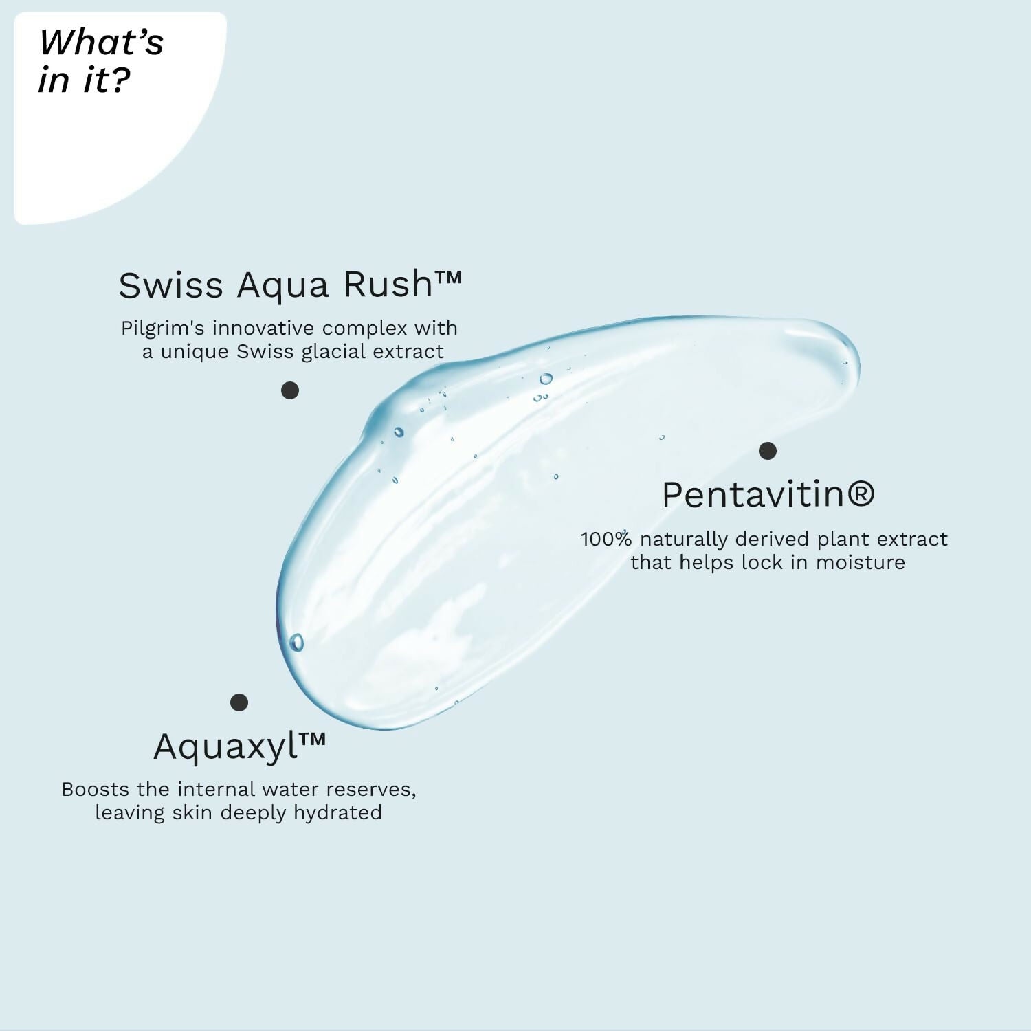 Pilgrim Swiss Aqua Rush Hydrating Face Wash, Refreshes Skin & Restores Hydration - Grab2buy