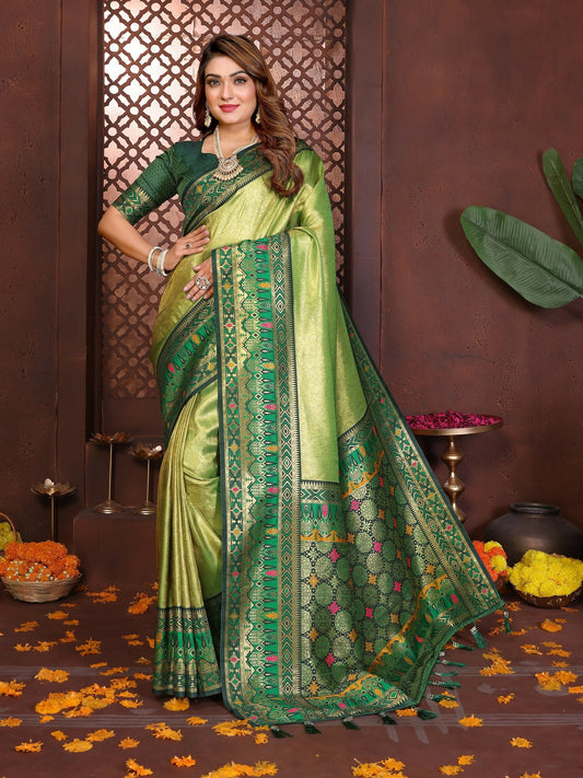 Anaita Banarasi Tissue Silk Saree