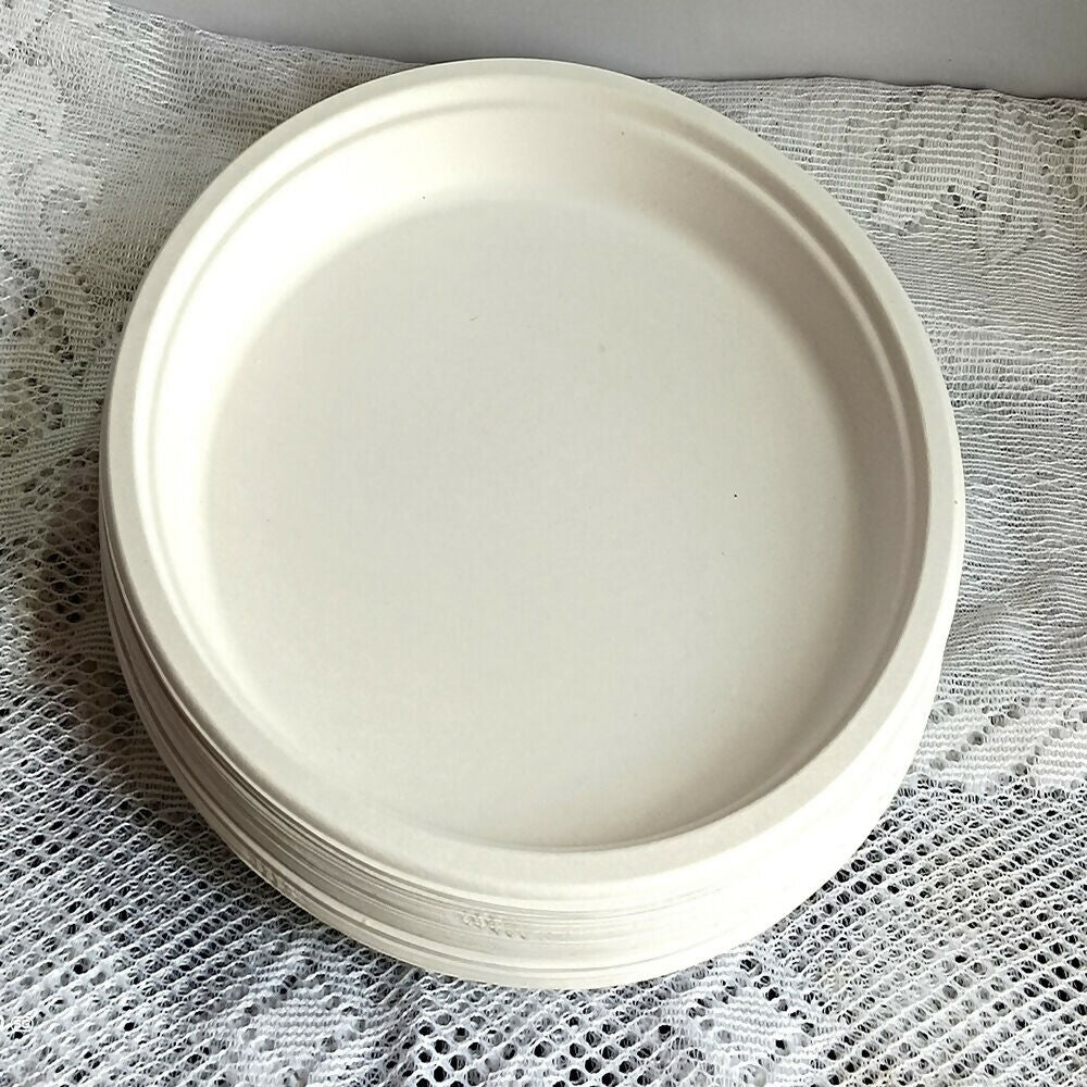 Disposable Round Plane Plates Big - Grab2buy