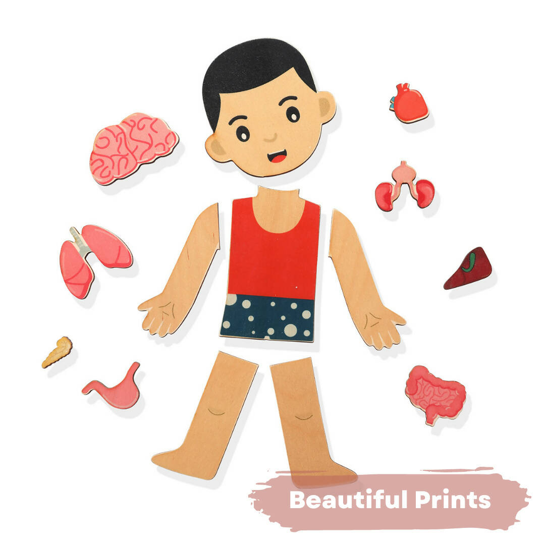 Nesta Toys Human Body | Internal Organs Wooden Puzzle - Grab2buy